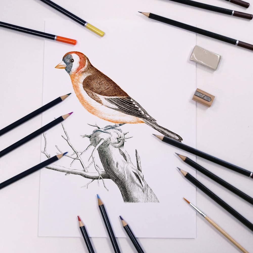 Professional Art Set, Art Supplies in Portable Wooden Case, 83 Pieces Deluxe Art Set for Painting & Drawing, Art Kit for Kids, Teens and /Gift